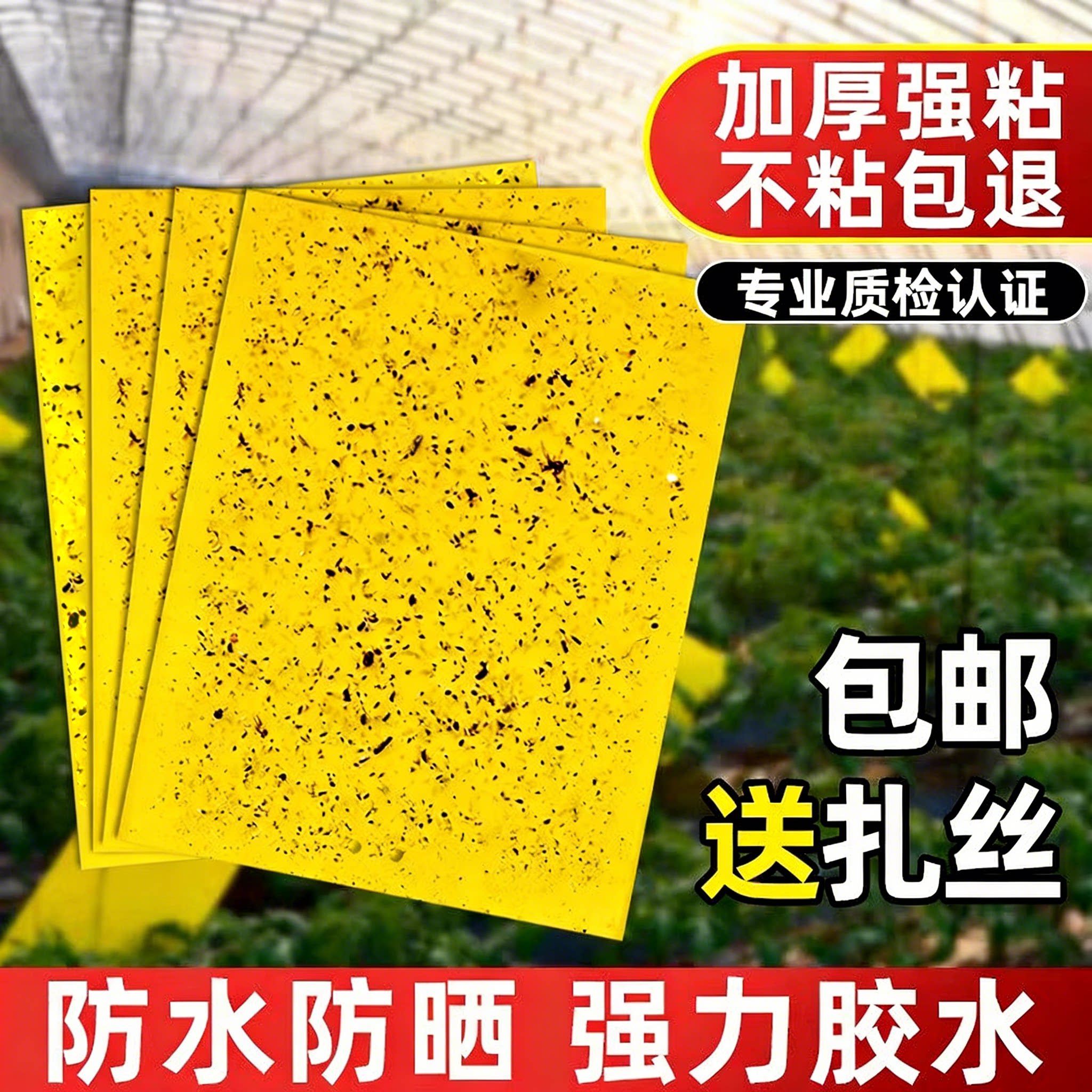 粘虫板黄板双面粘小飞虫果园果蝇诱捕器大棚灭苍蝇贴强粘力粘蝇纸