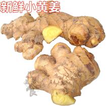 Kitchen seasoning Small turmeric ginger fresh Old Ginger farm soil ginger moon ginger old ginger fresh ginger 500g