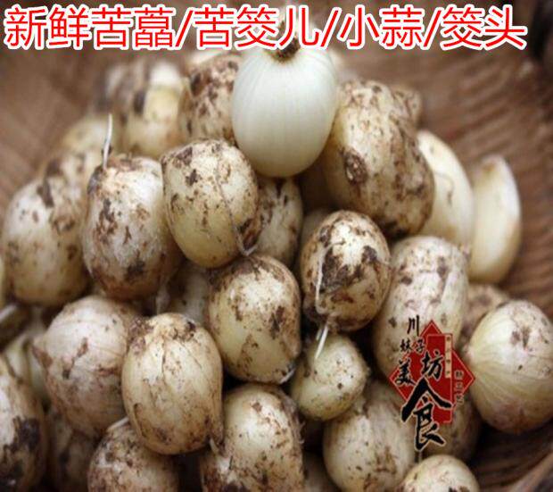 Mountain pregnant women stew soup material fresh wild garlic bitter raw garlic little garlic bitter and bitter garlic 500g