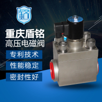 Dunming factory direct High Pressure Solenoid Valve 40 50 60MPa water gas oil solenoid valve normally closed