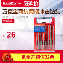 Germany imported Wankebao W124025N impact drill bit electric hammer drill bit two pit two groove through wall cement coagulation