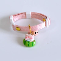 Большой арбуз свиньи