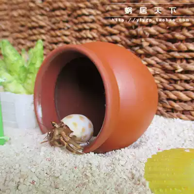 (Waili Pottery Pot) Hermit Crab Special Evasion House Cave House Amphibious Small Climbing Podler Landscape Decoration