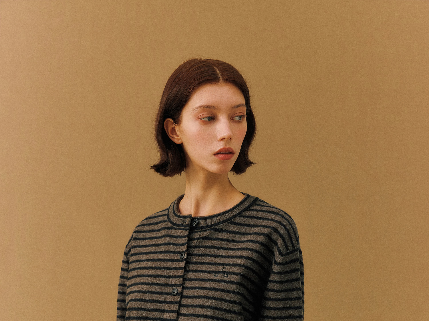 FPA Striped Crew Neck Button-Up Sweater