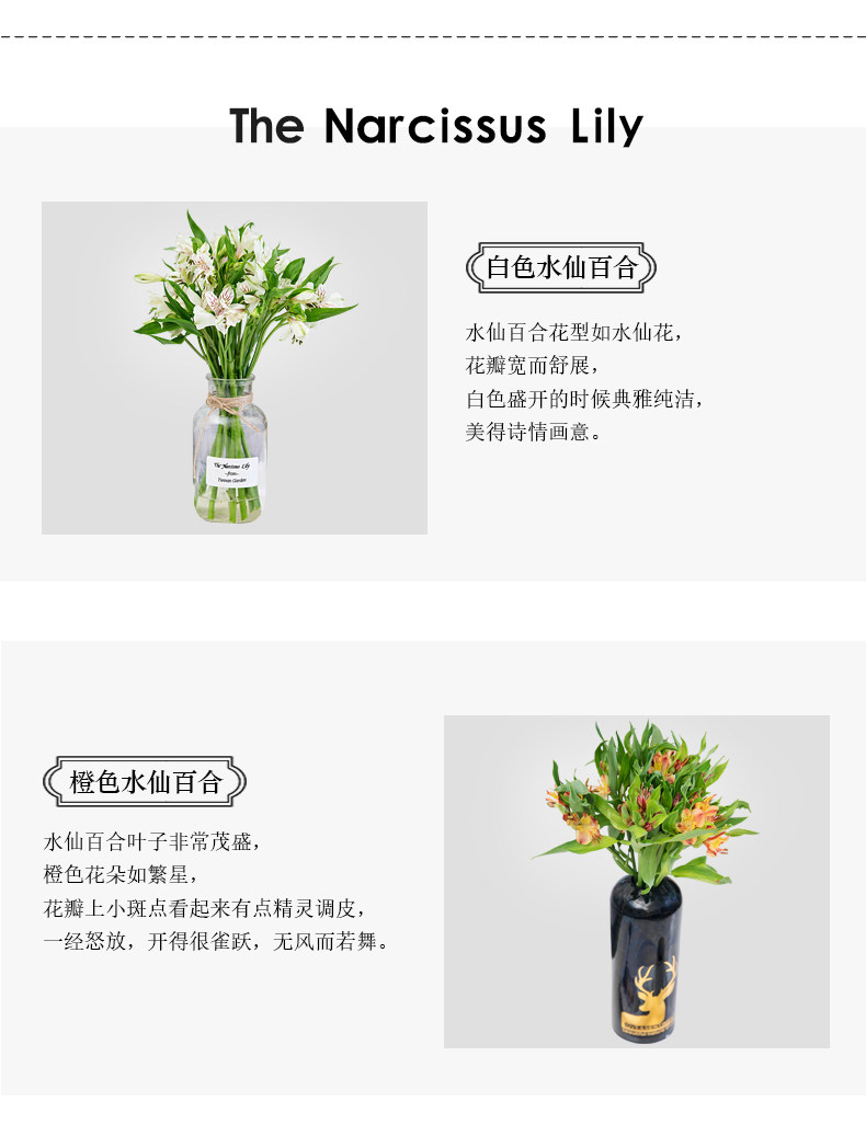 新鲜现摘百合鲜花10支 图2