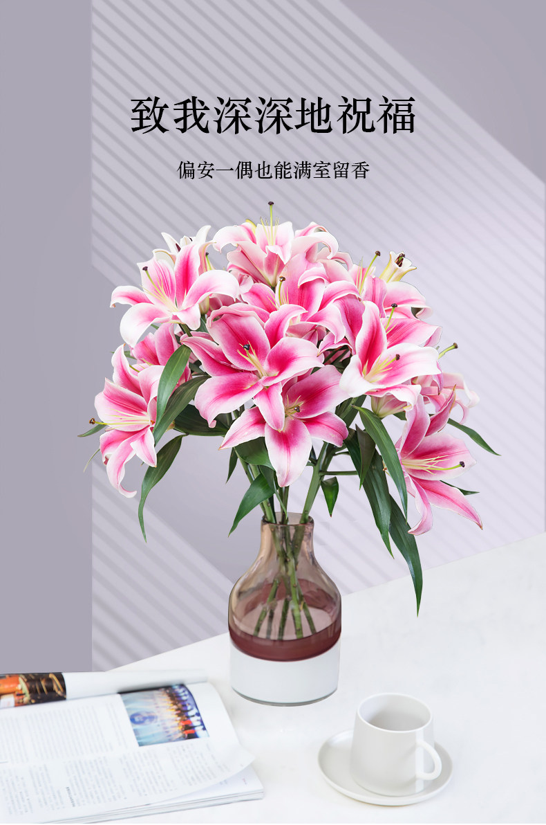 新鲜现摘百合鲜花10支 图1