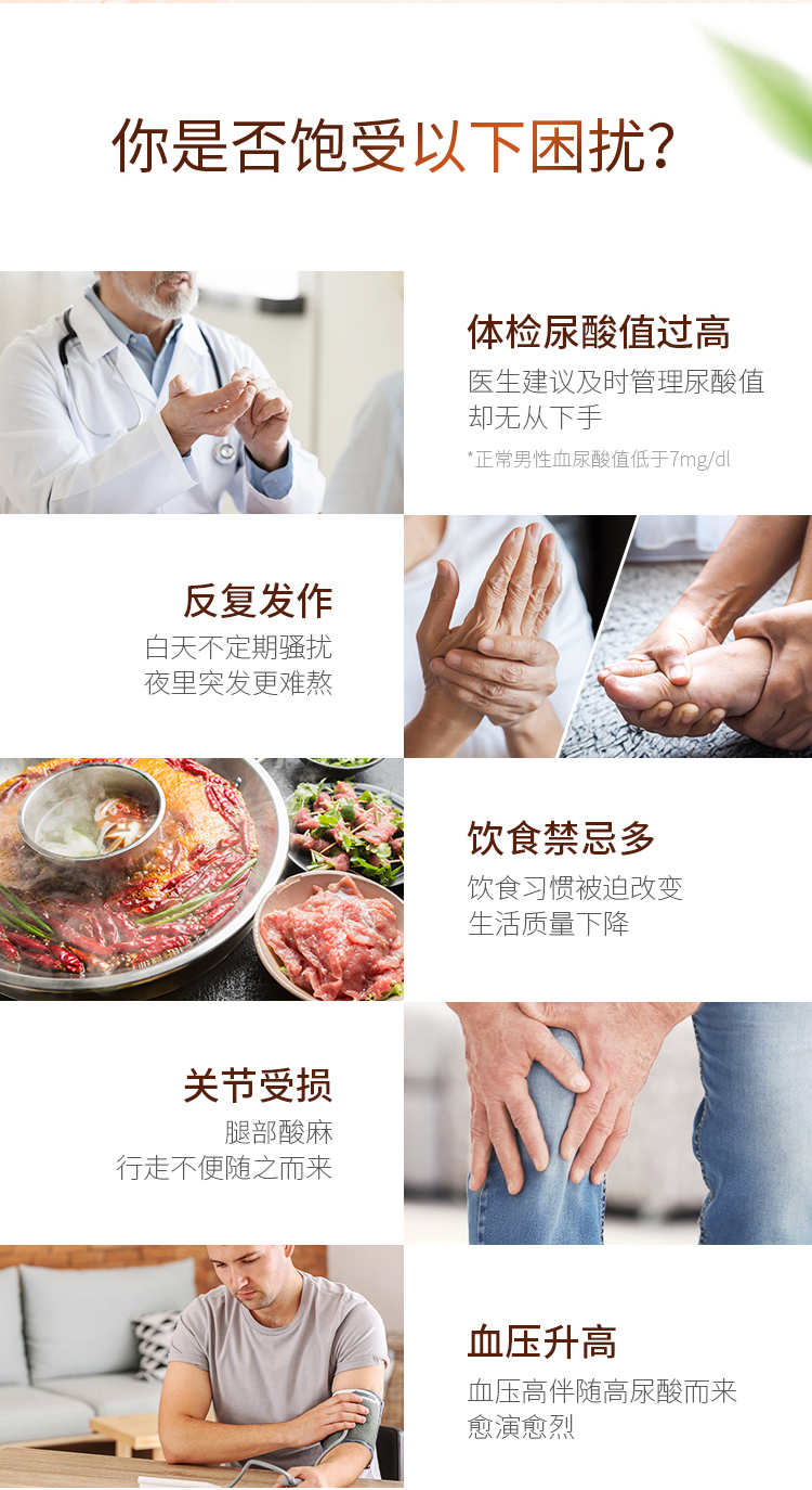 澳洲进口 澳佳宝 7000mg高浓度 芹菜籽精华片 40片 降尿酸降血压 图3