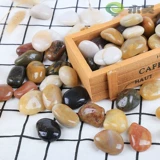 Цветочный горшок с галькой цвето