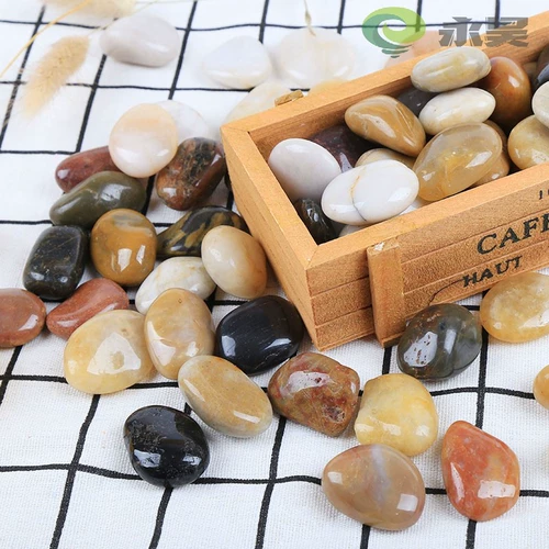 Цветочный горшок с галькой цвето