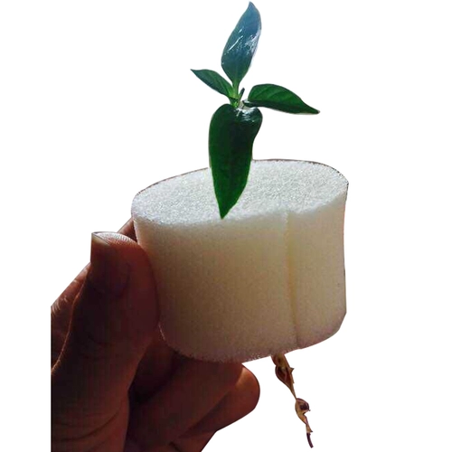 Гидропонные овощи, расположенные с губчатой ​​оборудованием для выращивания хлопковой земли, укоренением, твердыми корнями, посадочными корзинами, новой продукцией асфиксии