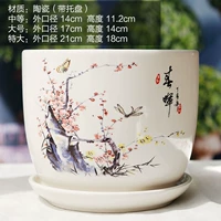 Абрикос Чунхуи