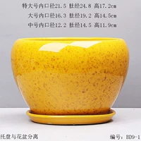 BD9-1 Желтая цветочная глазурь