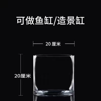 Рот 20 высокий 20 [качество первого уровня]