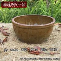 5 кошечков из лотоса