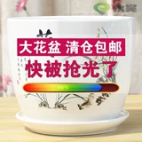 Керамический очень большой цветочный горшок для домашнего использования, орхидея