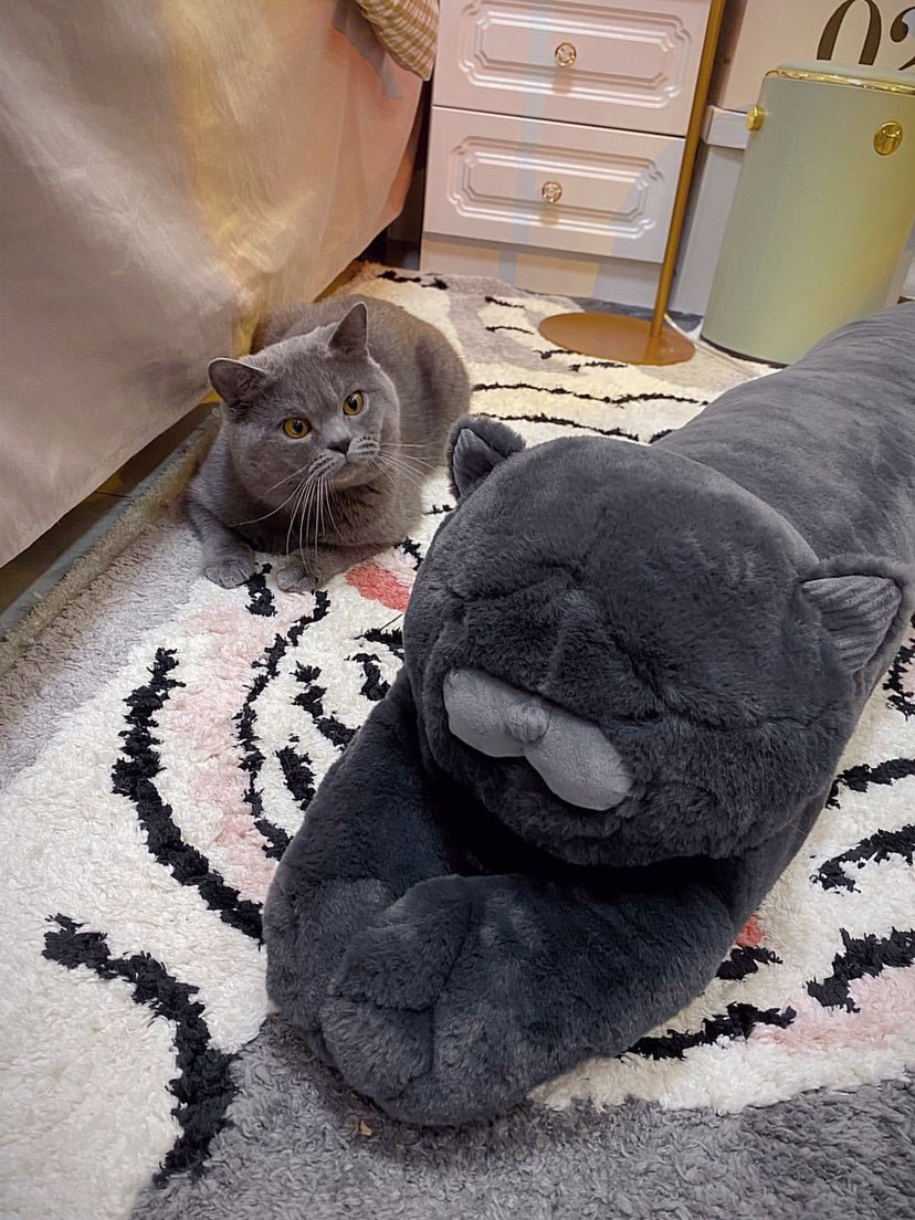 In Nordic Blue Cat Long Strip Pillow Pillow Summer Female Sleeping Spring and Autumn Pillow Sofa Low Pillow