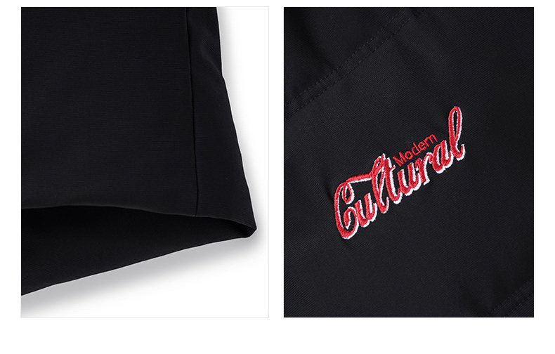 Blouson homme D WOLVES     - Ref 3120825 Image 19