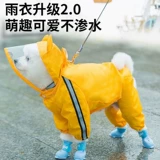 Puppy Paint Paint Paint, четырехгруппированный водонепроницаемы