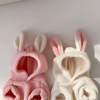 Проблема кролика и кролика -в домашних животных осенью и зимняя биен