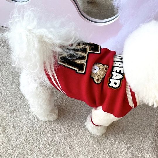 Bixin Pet Knitted Sweater for Bichon Frise, Teddy, Cats, Pomeranian, Schnauzer, Small Dogs, Dog Clothes for Autumn and Winter