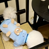 Новинка 2024 года, осенне-зимняя одежда для щенков, трехмерная карманная толстовка с тягой медведя на двух ногах, одежда для кошек и домашних животных