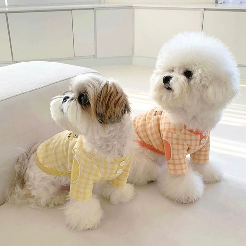 PET T -Frish Teddy Bel Mei Malzis Snow Sherry маленькая кошка, кошка, собака, собака собака