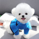 Bixin Pet Knitted Sweater for Teddy, Bichon, Poodle, Kitten, Cat, Yorkshire, Maltese, Dog Clothes
