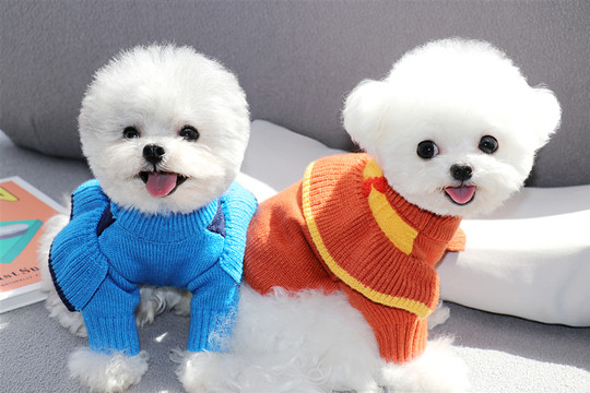 Bixin Pet Knitted Sweater for Teddy, Bichon, Poodle, Kitten, Cat, Yorkshire, Maltese, Dog Clothes