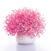 Pro Big Beam Pink, полный звездных звезд без бутылок