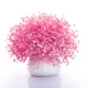 Pro Big Beam Pink, полный звездных звезд без бутылок
