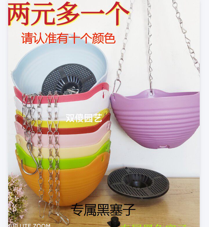 5 flower pelvis hanging hanging hanging from wall railing wall bar Golden Ge - meat plant flower climbing vine hanging chain