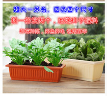 2 extra-large rectangular flowerpot strips plastic resin imitation ceramic balcony tray fish and shrimp tortoise cauliflower