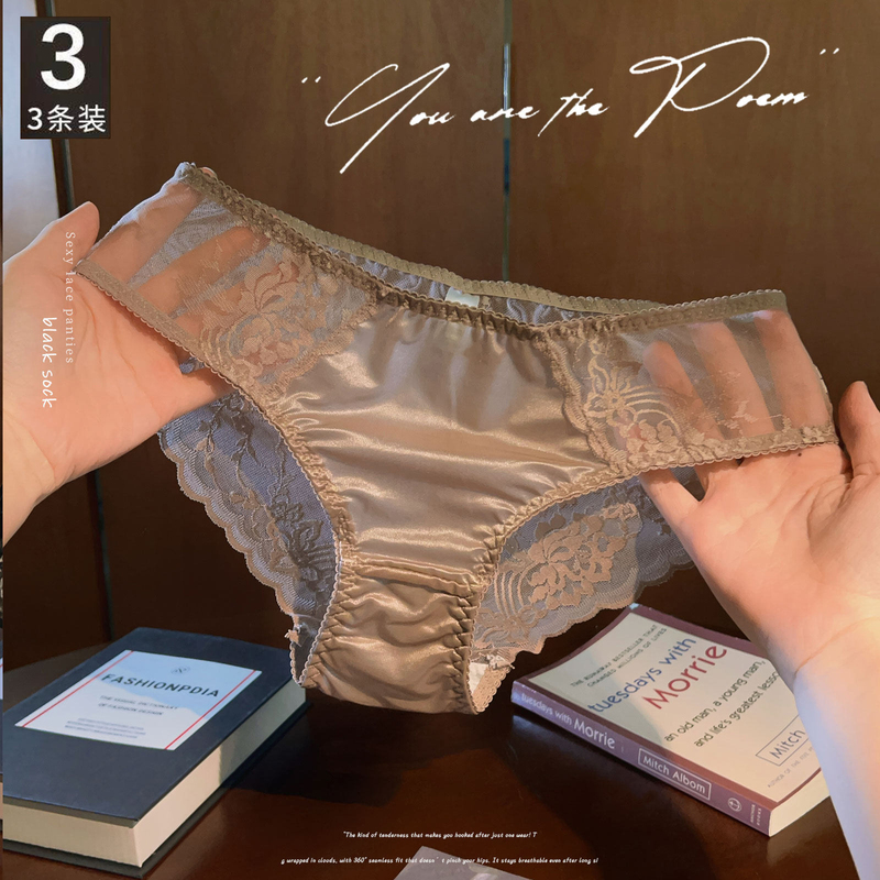 Victoria Satin Lace Women's Panties, Sexy 2026 New Low-Waist Mesh Transparent High-End Briefs