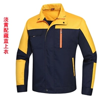 Тибетская синяя пиноло желтая полоса