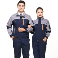 Тибетская синий светло -серая полоска против света