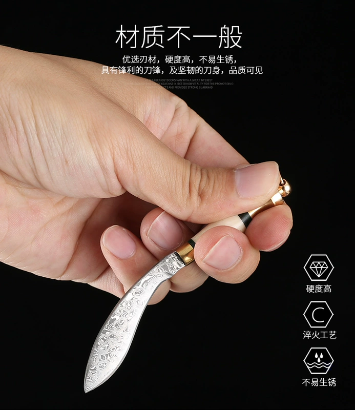 Dao sống sót hoang dã Damascus thép kiếm bằng tay mini dao thẳng với bộ sưu tập sắc nét dao quà tặng - Công cụ Knift / công cụ đa mục đích