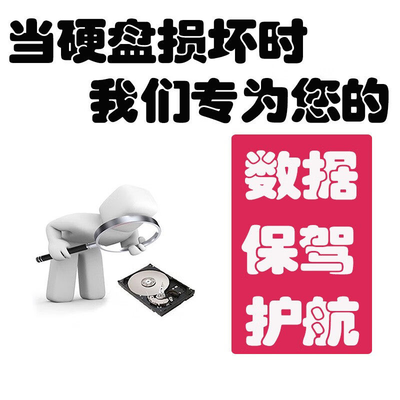 Computer Mobile Hard Drive Data Recovery USB Flash Drive Memory Sd Card Photo File Repair Hard Drive Repair Software Service