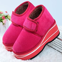 Красная роза