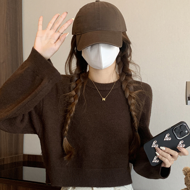 Coffee-Colored Short Knit Sweater for Women, Early Autumn Outfit, High-Waisted, Regular Shoulder Fit, Melard Sweater for Petite Figures