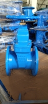 Z45X dark rod gate valve cast iron valve soft seal flange gate valve fire water valve switch DN50 100 150