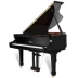 Palatino GG-48 Palatino grand piano 88 phím Đức trưởng thành chuyên nghiệp chơi thương hiệu mới - dương cầm dương cầm