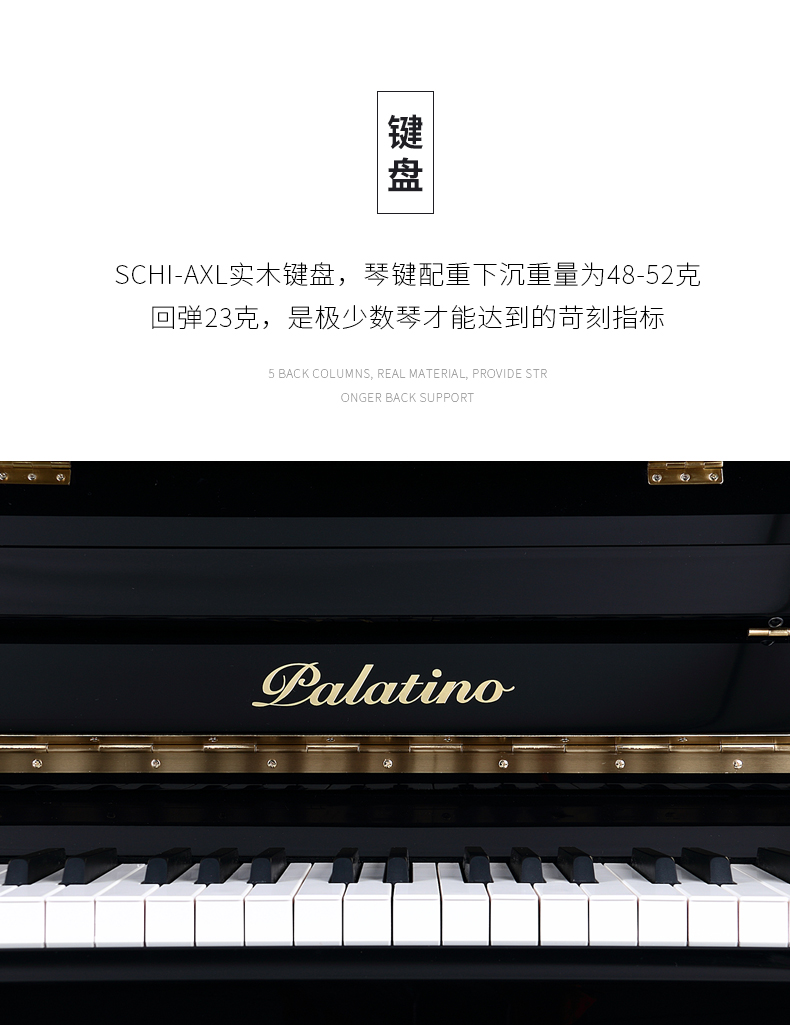 Palatino GA-23 Đàn piano thương hiệu dọc Palatino Công nghệ Đức dành cho người lớn chơi chuyên nghiệp - dương cầm casio ap 470