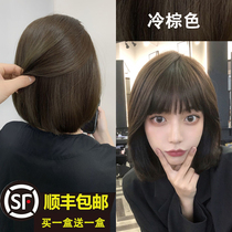 Cold brown dyed hair cream 2021 pop color explicit white natural black yourself at home Dyed Foam Plant Cover White Hair