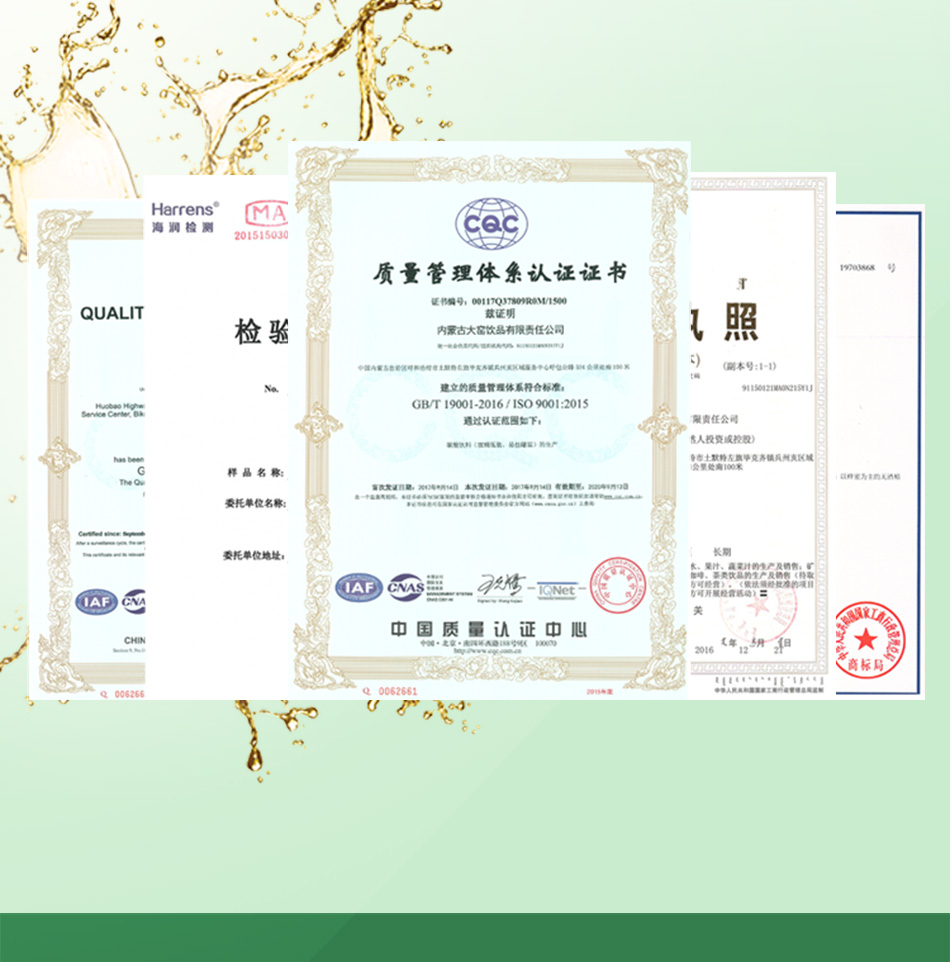 内蒙特产 大窑嘉宾 果味碳酸饮料 怀旧汽水 500ml*20罐 图8