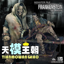 Tianyuni COOMODEL phase MF006 07 Monster Archives Frankenstein Hidden Birth Edition