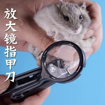 Multiple Pets Nail Clippers Zurie Small Animal Nails Cut Blue Pet Hamster Rabbit Dragon Cat Rice Bear Exclusive