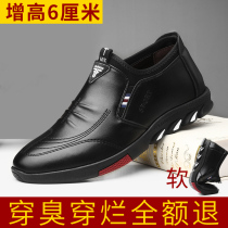 Silk He Longchi Mens Shoes Shop Peiwensen Charm Pilot Mens Invisible High Casual Leather Shoes D18229A