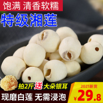 Lotus seeds dry goods 500g super authentic Hunan Xiangtan to the core white lotus seeds without core sulfur fresh Xianglian rice flagship store