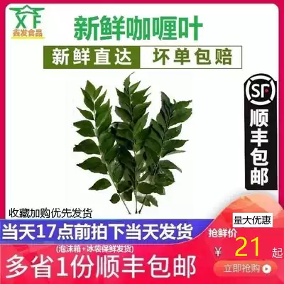 Fresh curry leaf Curry leaf 500g seasoning Jiuli Geranium curry fried rice Curry fish egg Curry crab spice