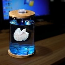 Thai fighting fish small glass material with lamp decoration desktop microscape ornamental office aquarium fish tank